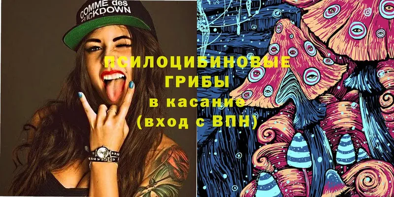 Галлюциногенные грибы Magic Shrooms  omg ONION  Туринск 